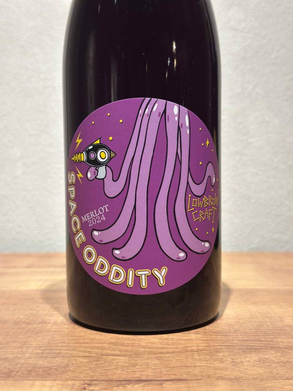SPACE ODDITY melrot 2024 / ロウブロウクラフト
